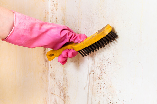 Limpiar azulejos de baño: Higiene y limpieza - Reformas y ...